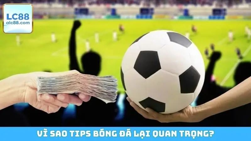 Vì sao tips bóng đá lại quan trọng?