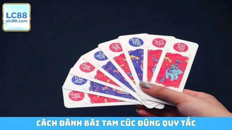 Cách đánh bài Tam Cúc đúng quy tắc